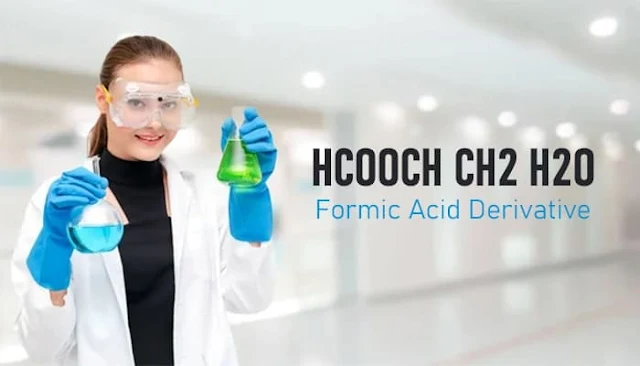 Exploring the Chemical Interplay of HCOOH, CH₂, and H₂O: Properties, Reactions, and Applications